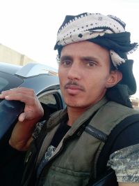 صورة الدلفين الازرق رقم 2