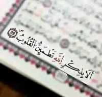 صورة Hala رقم 4