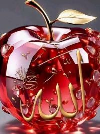 صورة حيدر رقم 2