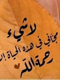 صورة حياة رقم 3