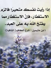 صورة Badr رقم 3