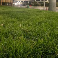 صورة ابو تركي