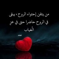 صورة ابو يارا