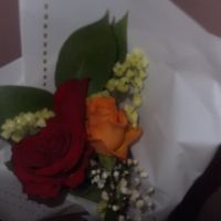 صورة Imane