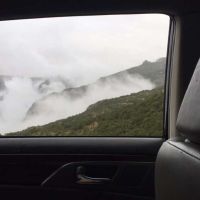 صورة M