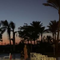 صورة دودي
