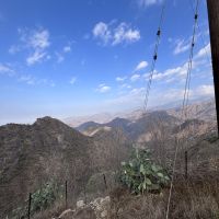 صورة Mohammad