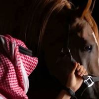 Public profile photo for خالد
