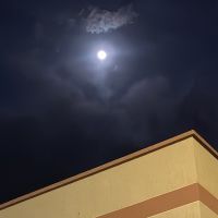 صورة abodii