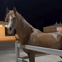 صورة عبدالله
