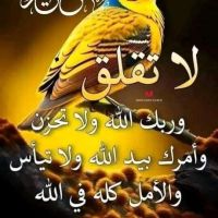 صورة Abdu