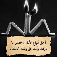 صورة mohammed