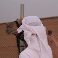 صورة Ali