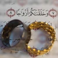صورة عبير